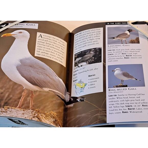 Nat'l Audubon Soc. 1st Field Guide: Birds by S. Weidensaul (2002 Scholastic PB) - Picture 7 of 10
